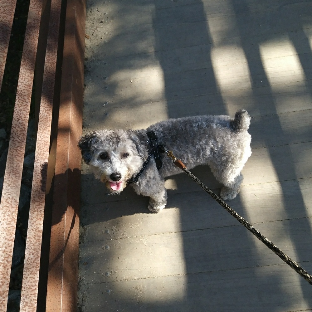 Meet your Posher, Jessica